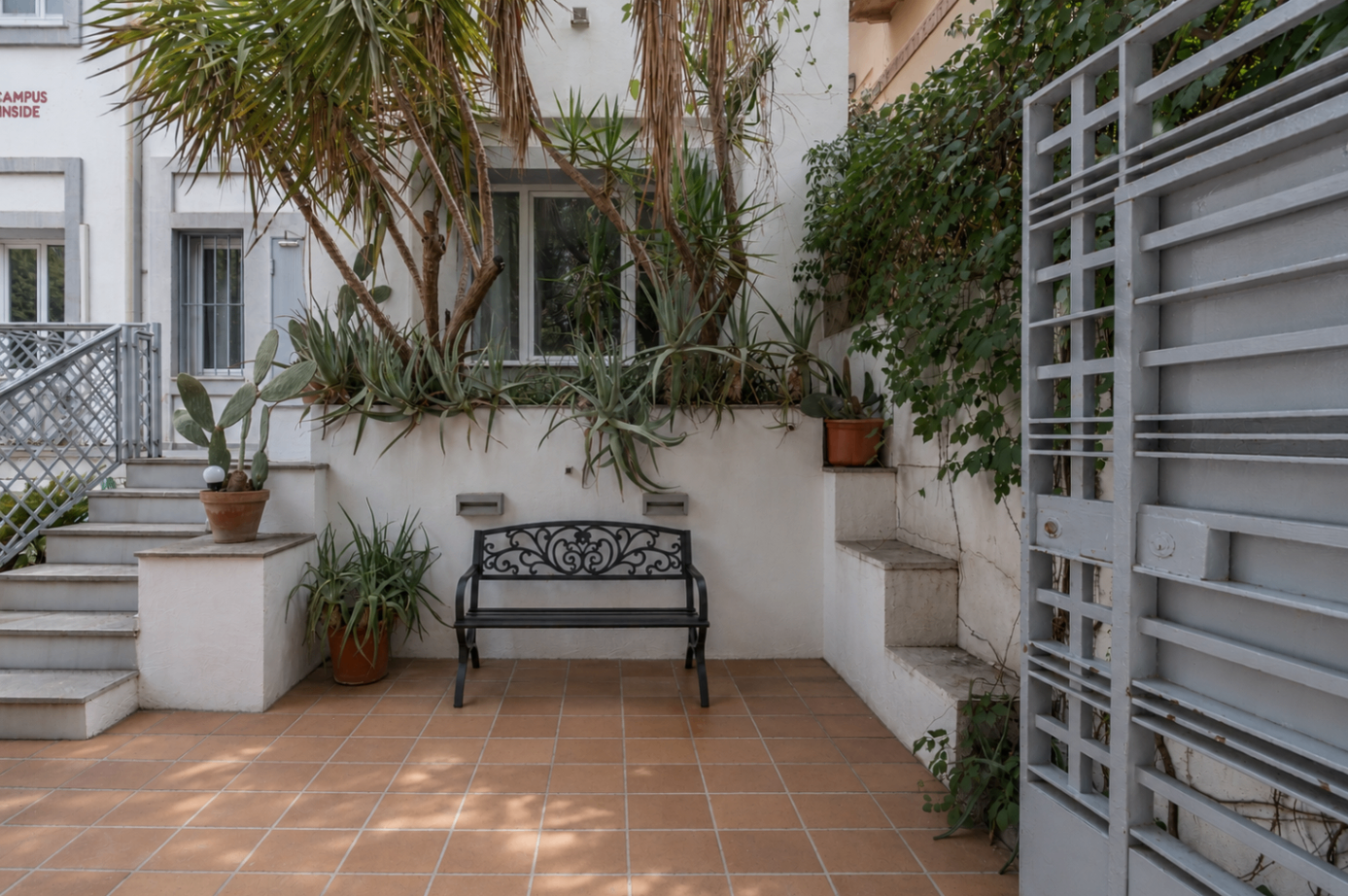 Terraza · 3